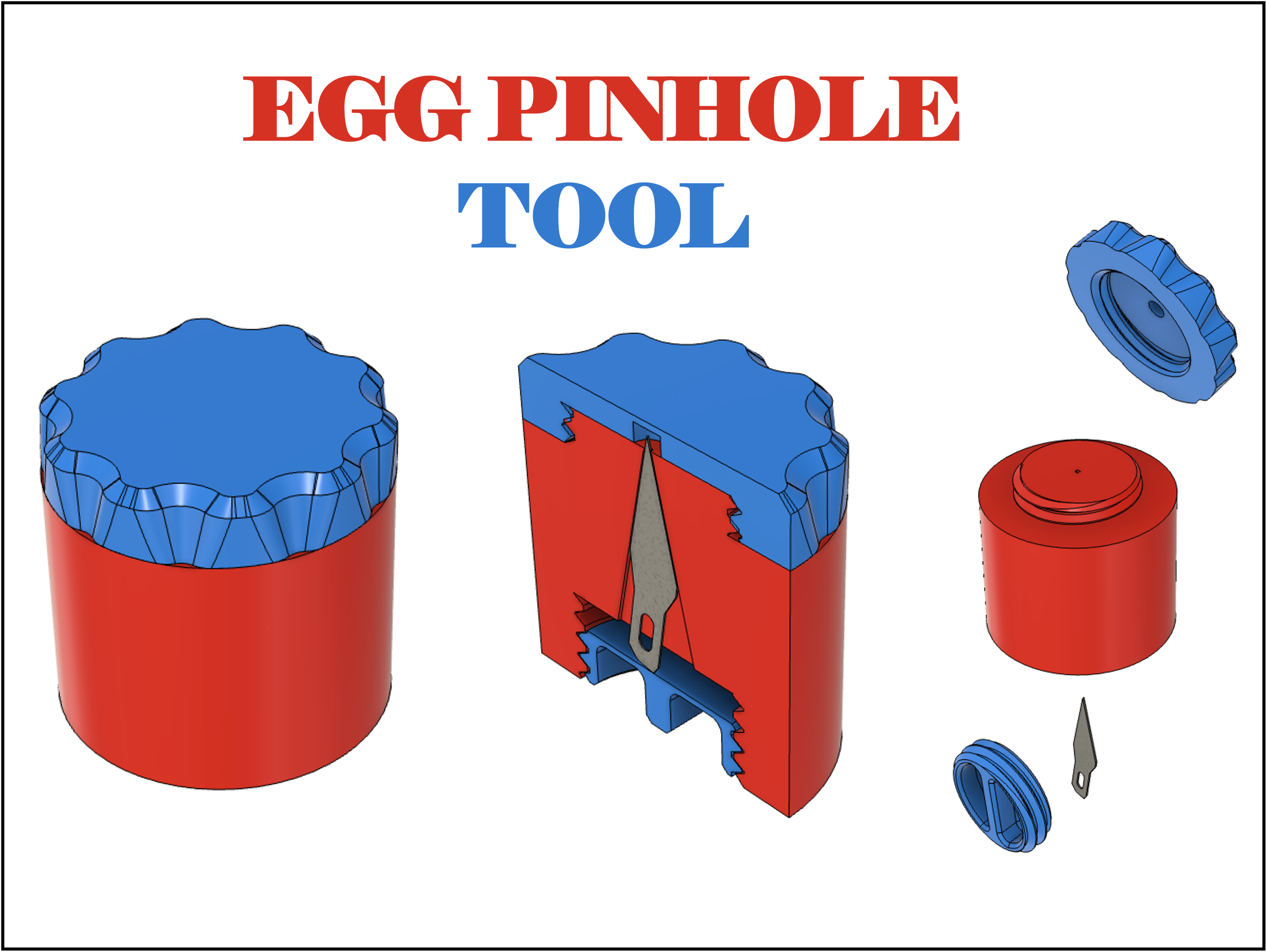 Egg Pinhole Tool