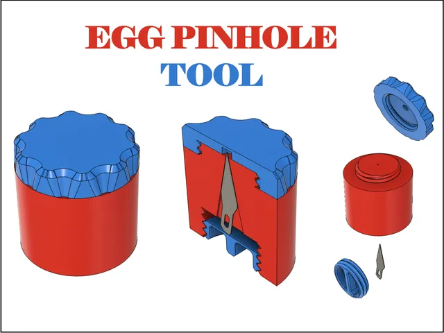 Egg Pinhole Tool