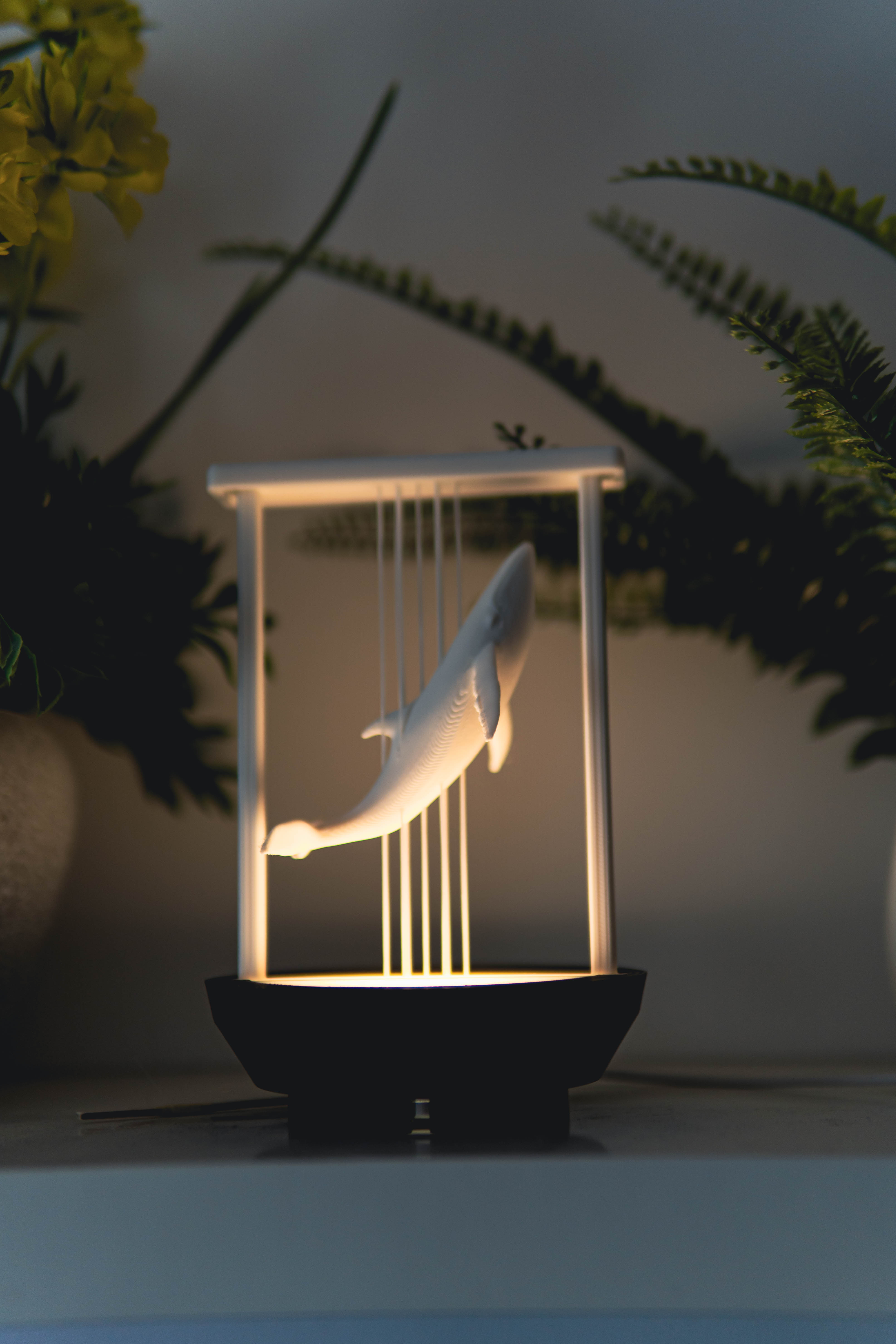 The Whale - Suspended String Lamp