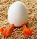 Eggory The Egg 3D model