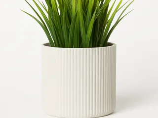 venus fly trap plant pot Venus Fly Trap: Pet Friendly Plant - Eats Flies, Spiders & Bugs - (3” Pot)  - Unique Plants – Bog Garden Plants – Non-toxic Venus Flytrap main image 0