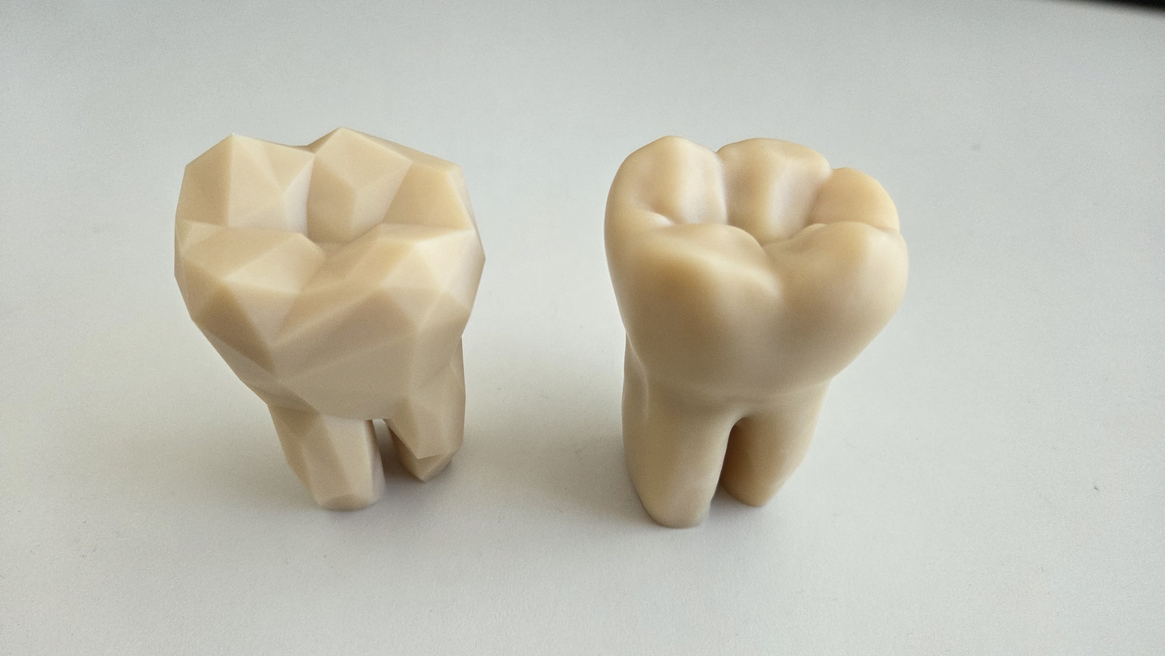Lower Molar (Study Model / Low Poly)