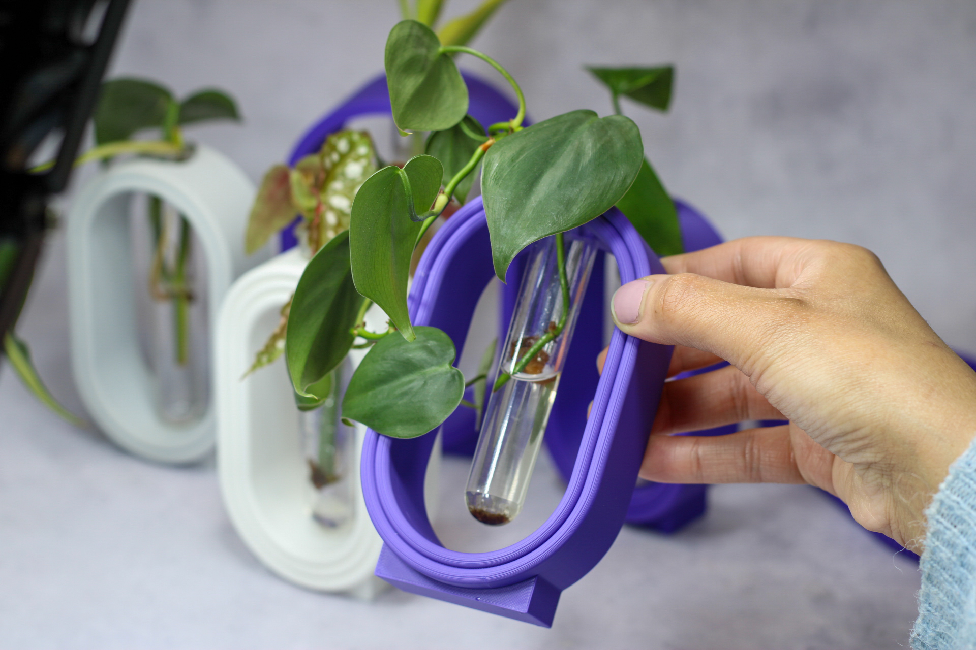Sleek Plant Propagation Stand 3D model