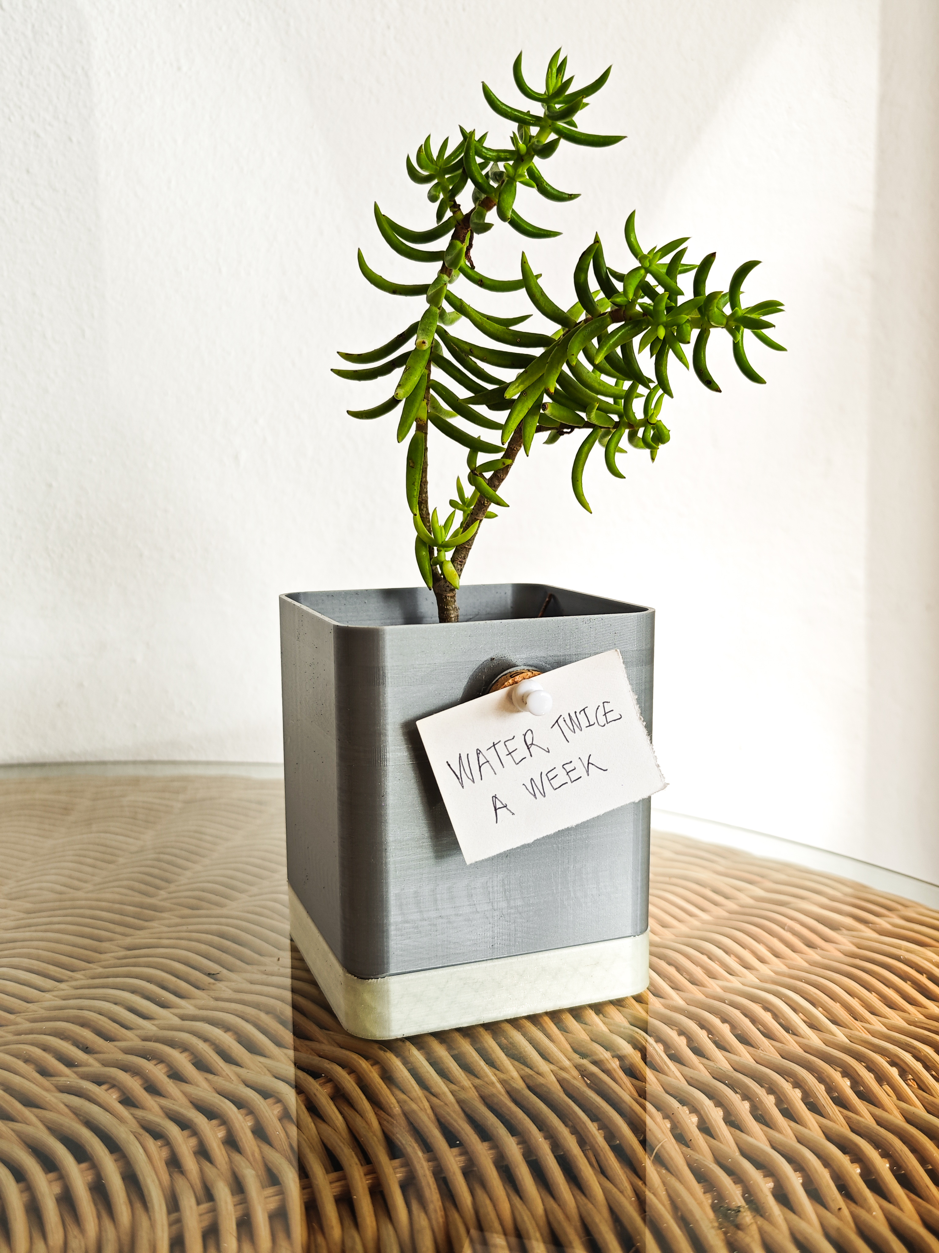 Cork Planter — miniatura 8