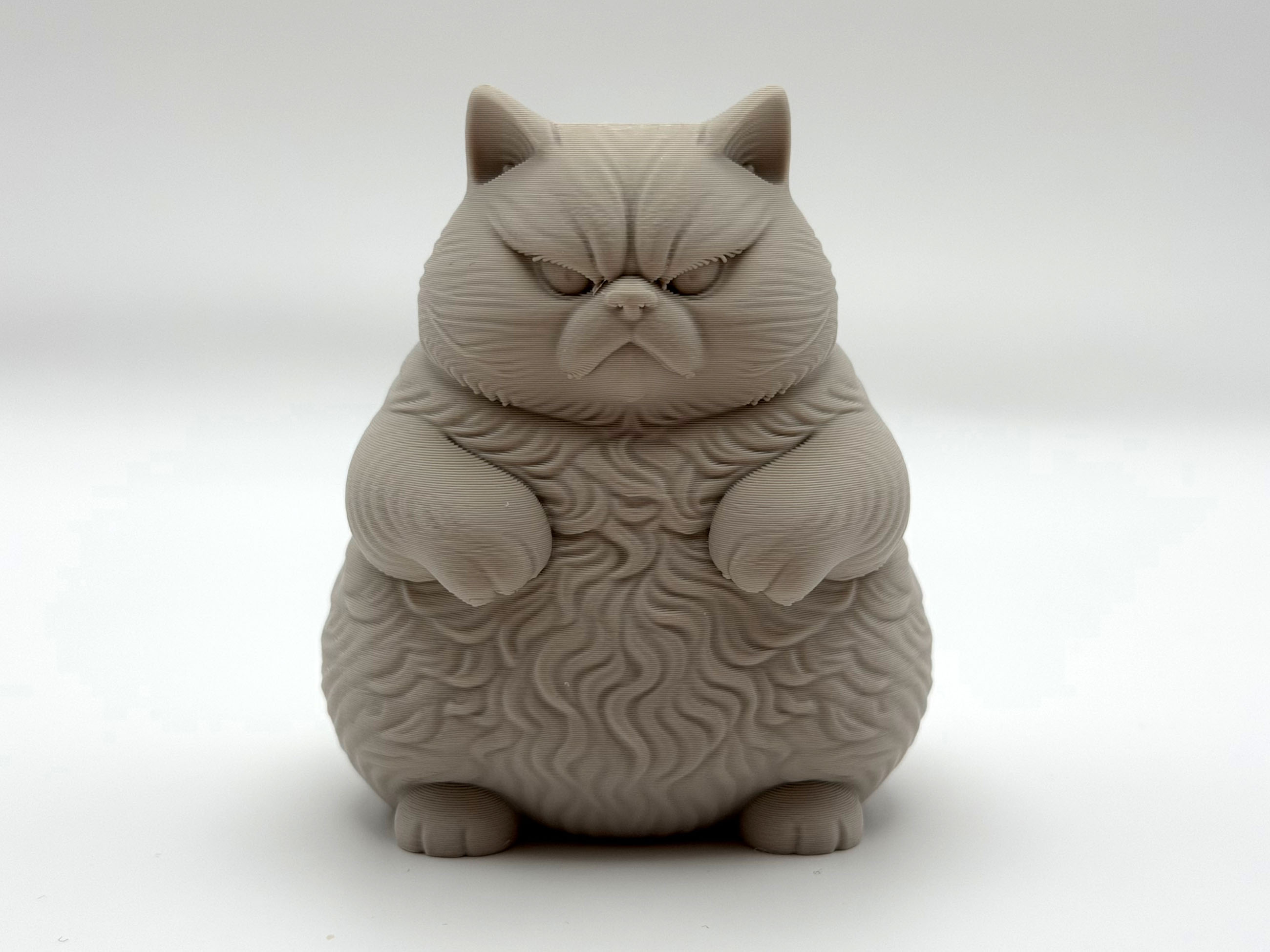 Chonky Furball