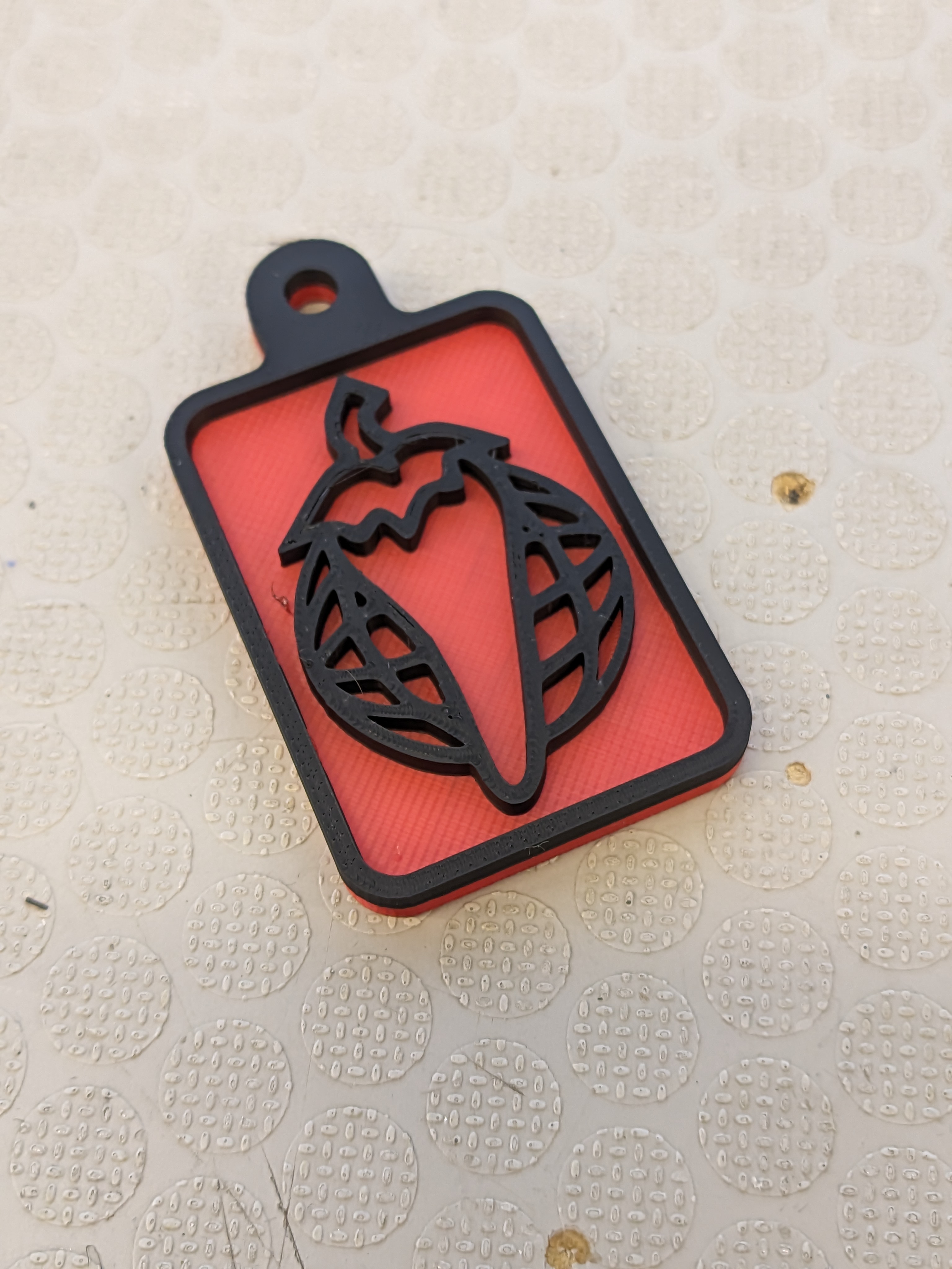 Salsa bicycles keyfob
