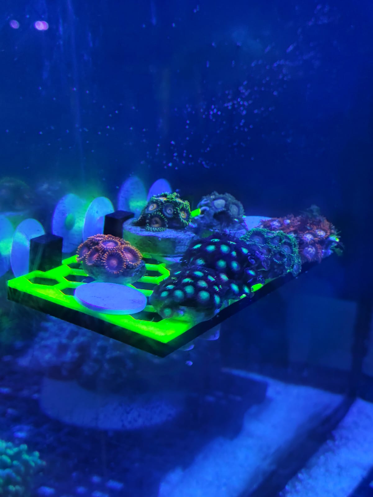 Frag Rack Hexagonal — thumbnail 4