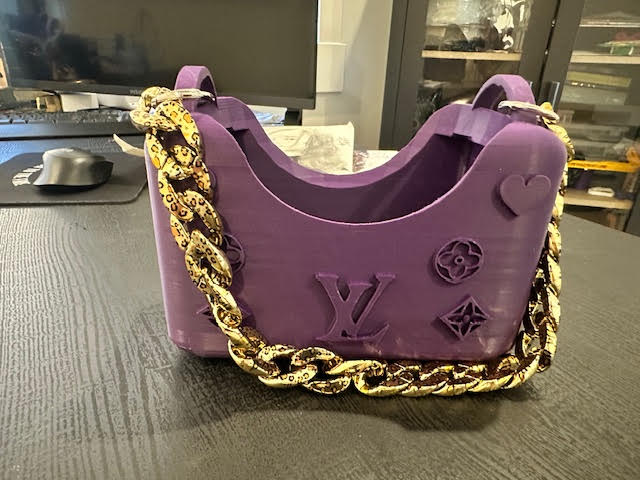 LV Bag Organizer