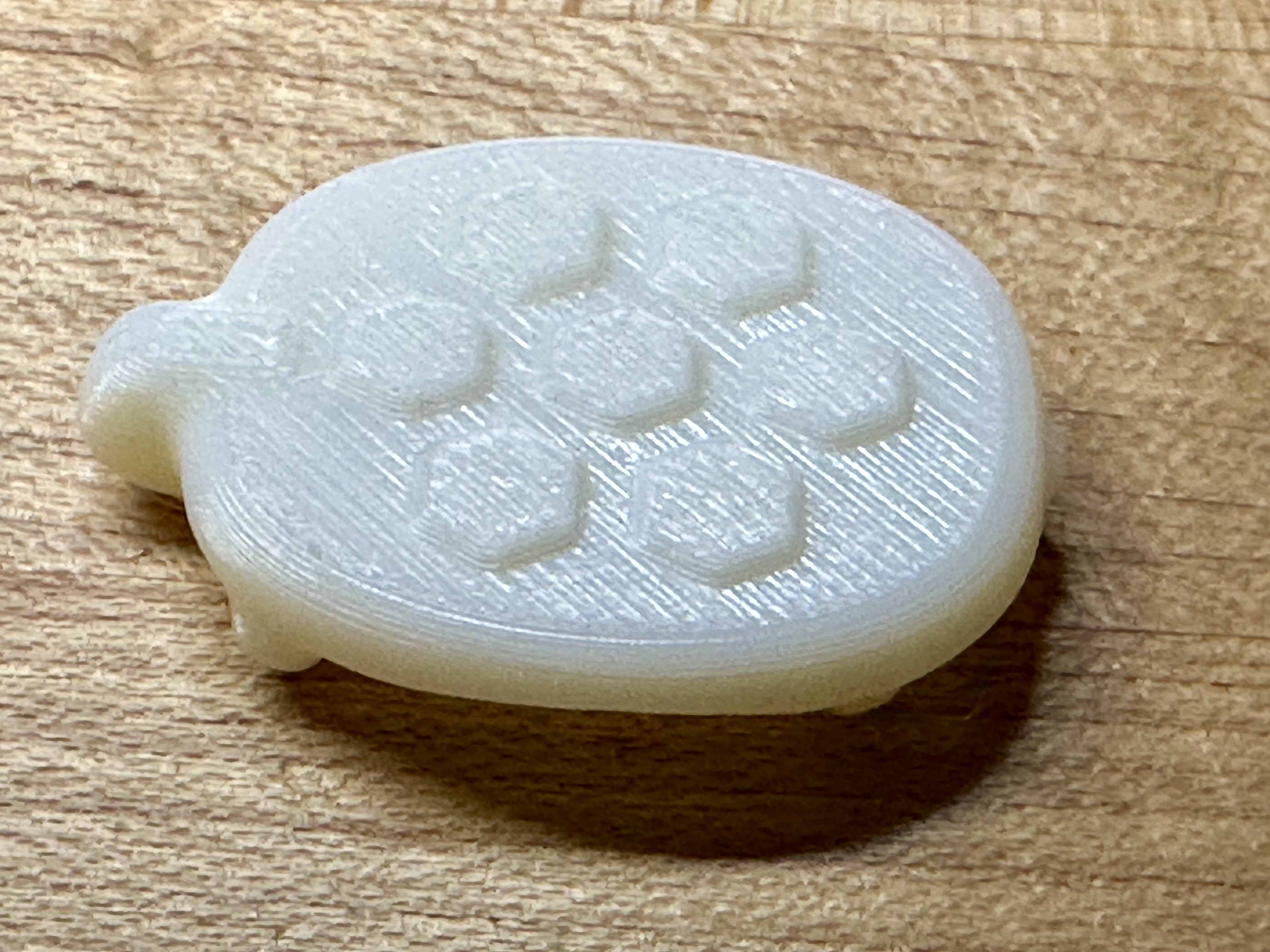 Turtle Pocket Buddy