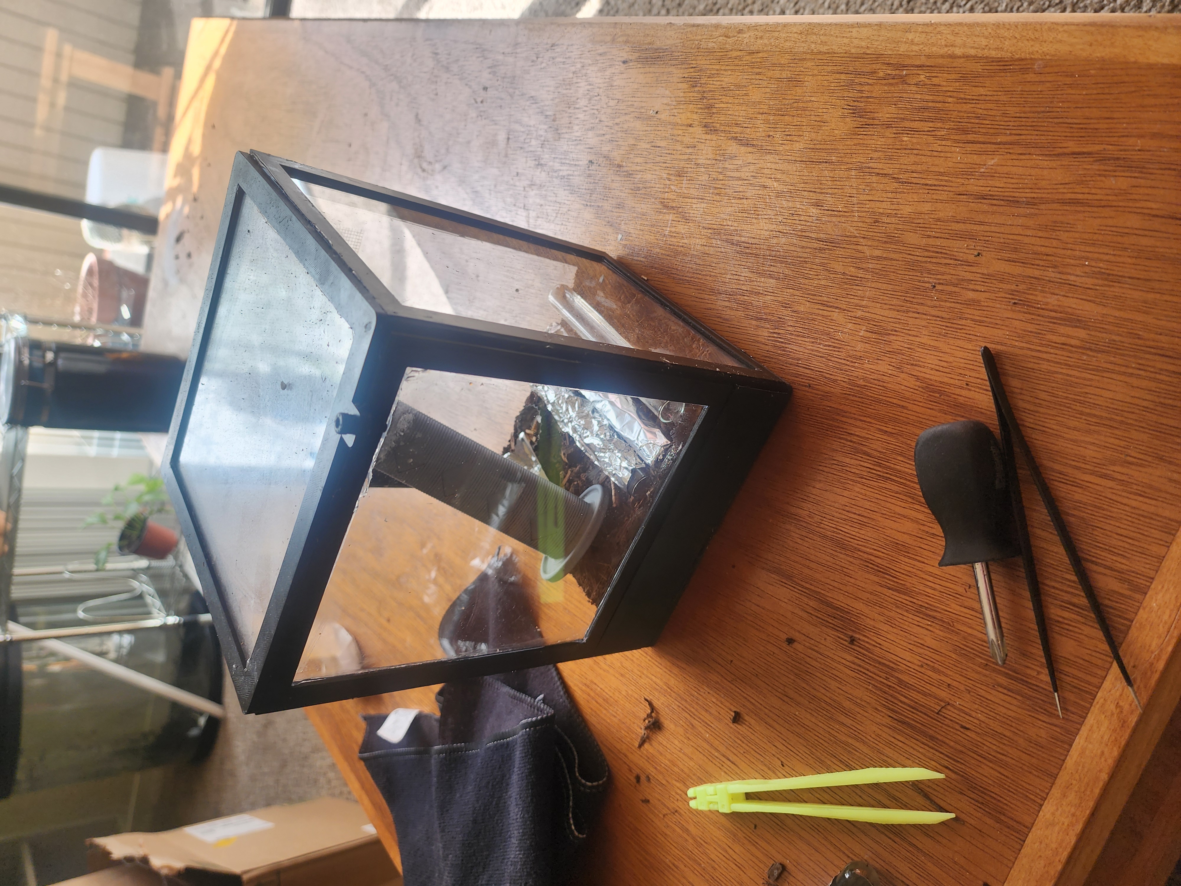 terrarium frame 3D model