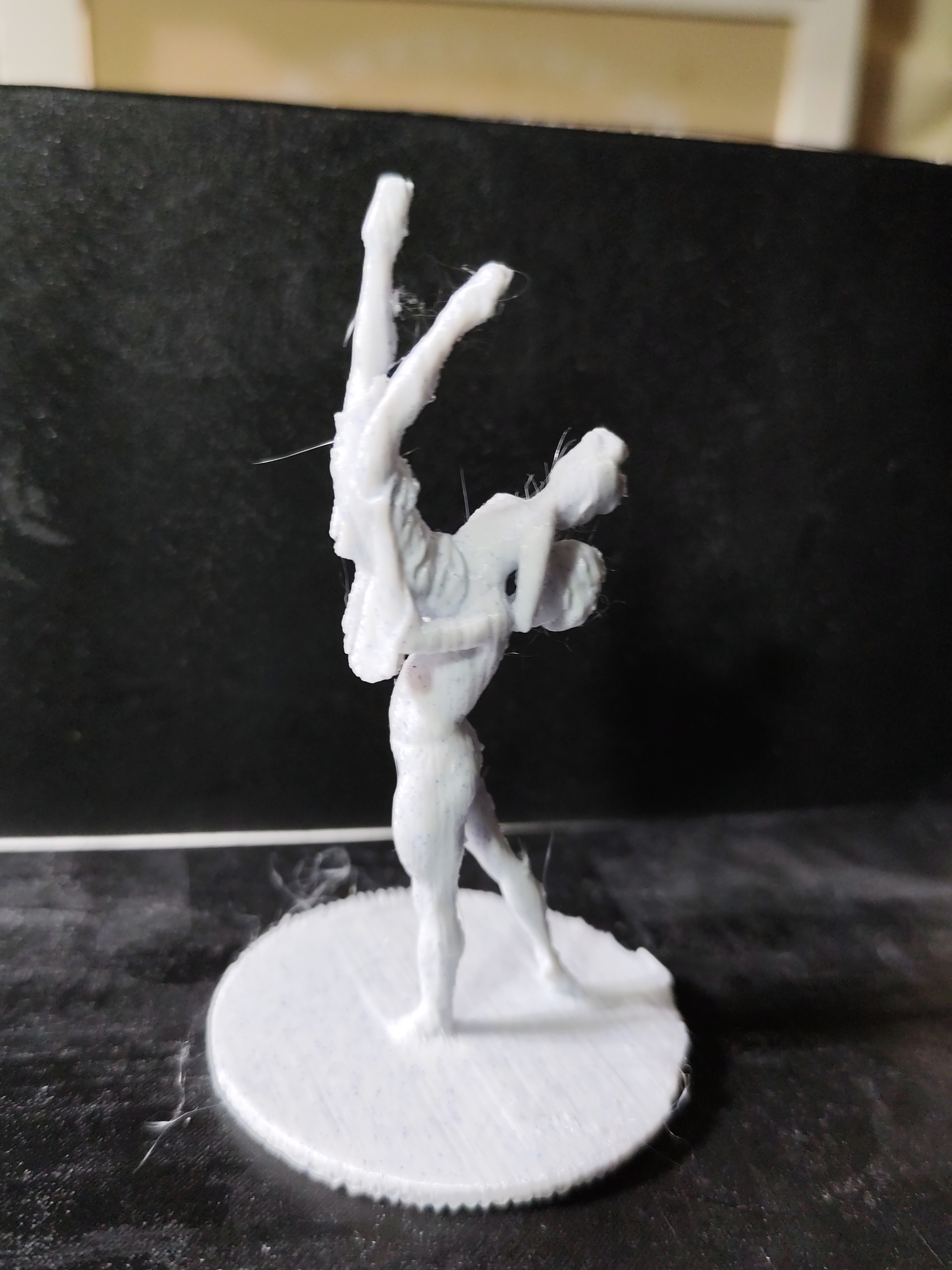Ballet toilet roll art