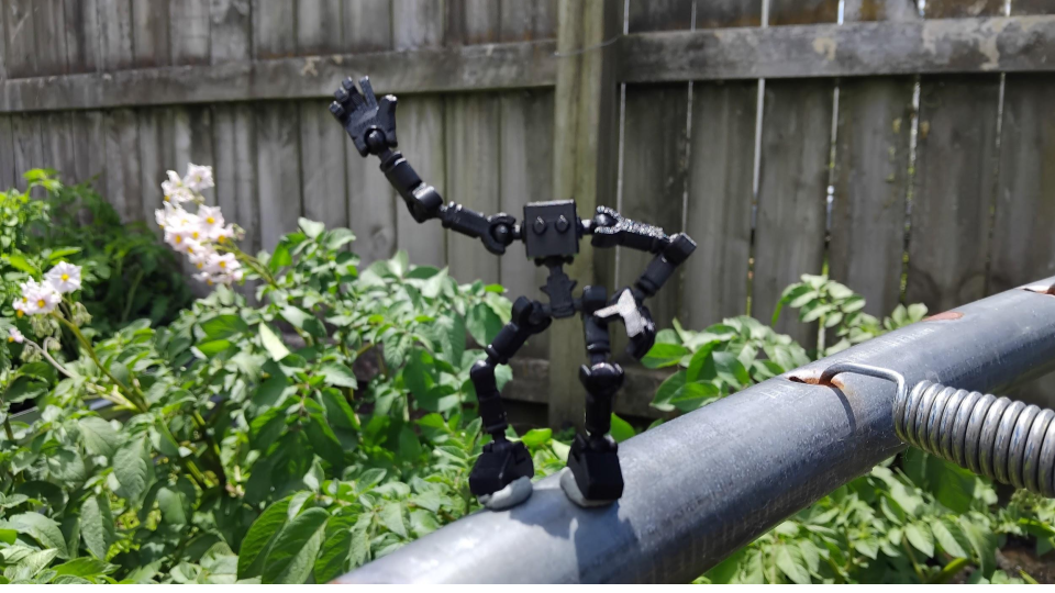 bot-13