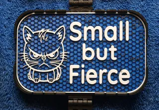 Small but Fierce signs