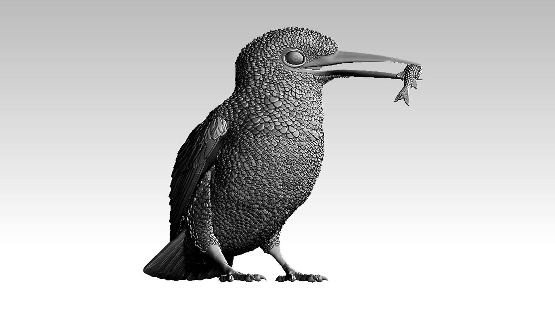 kingfisher
