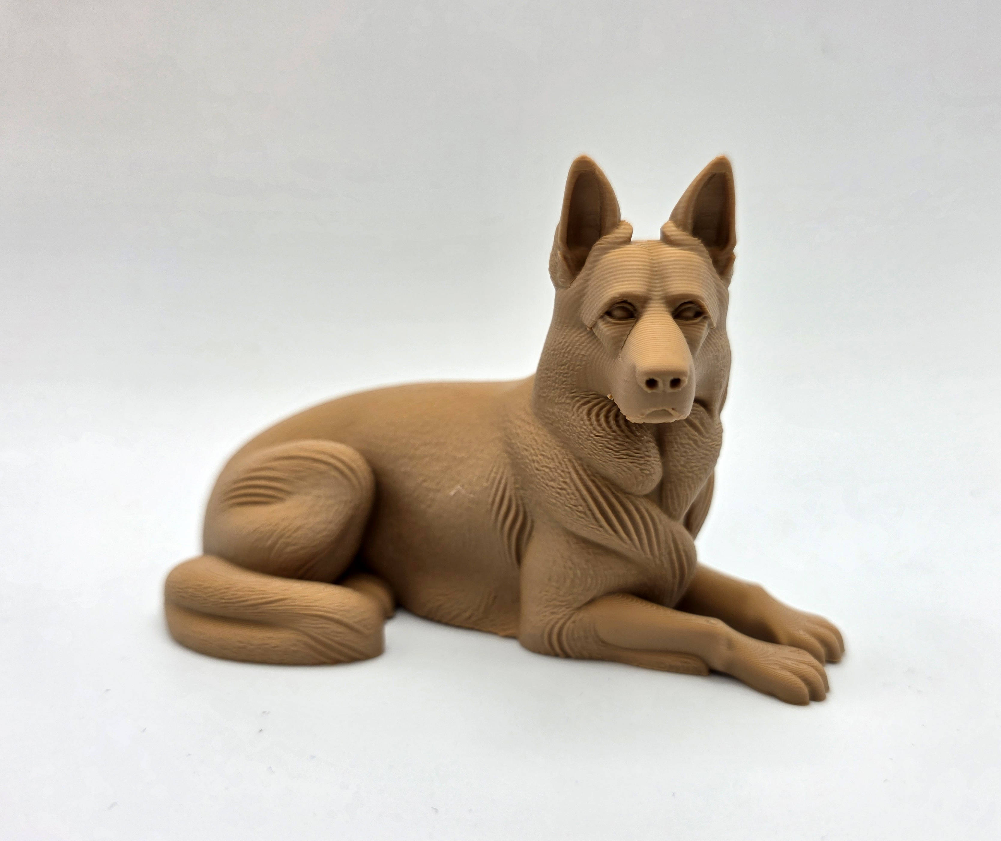 Laying German Shepherd