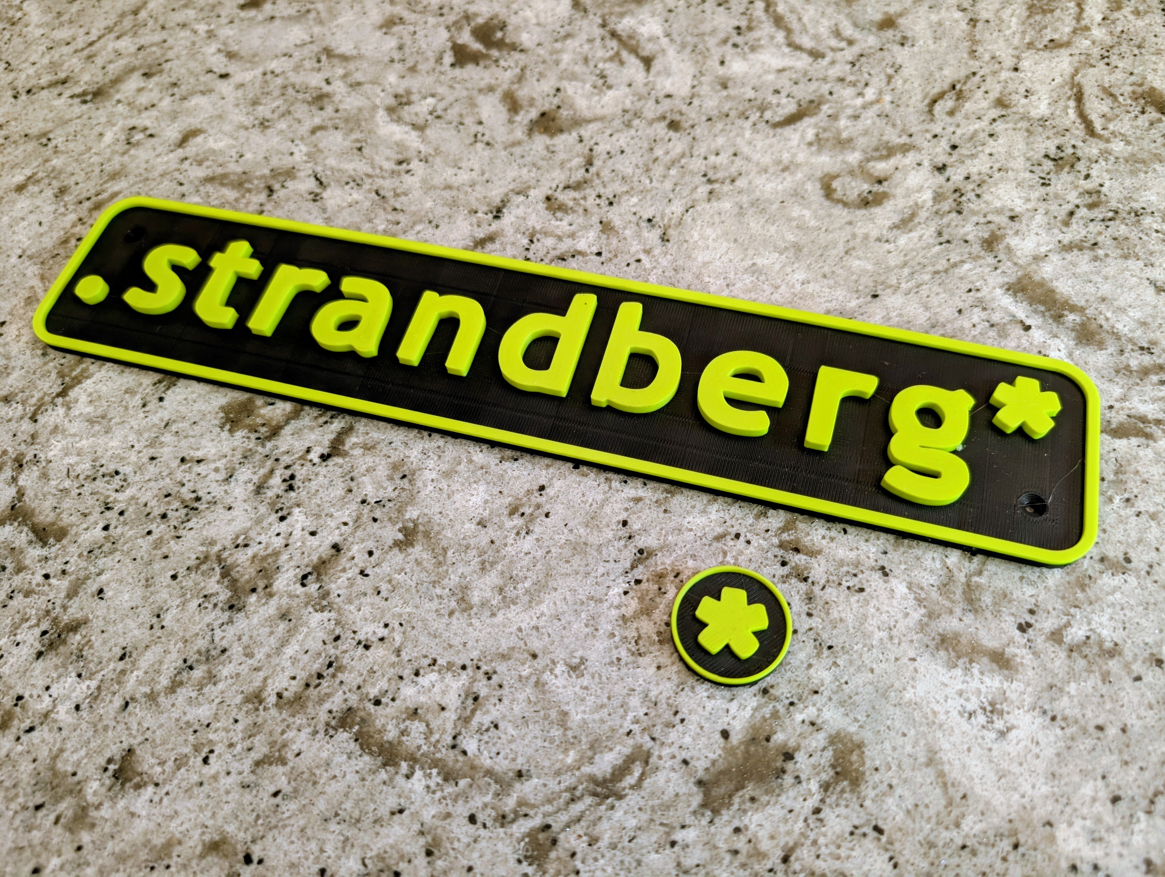 Strandberg Guitar Logo Plaque