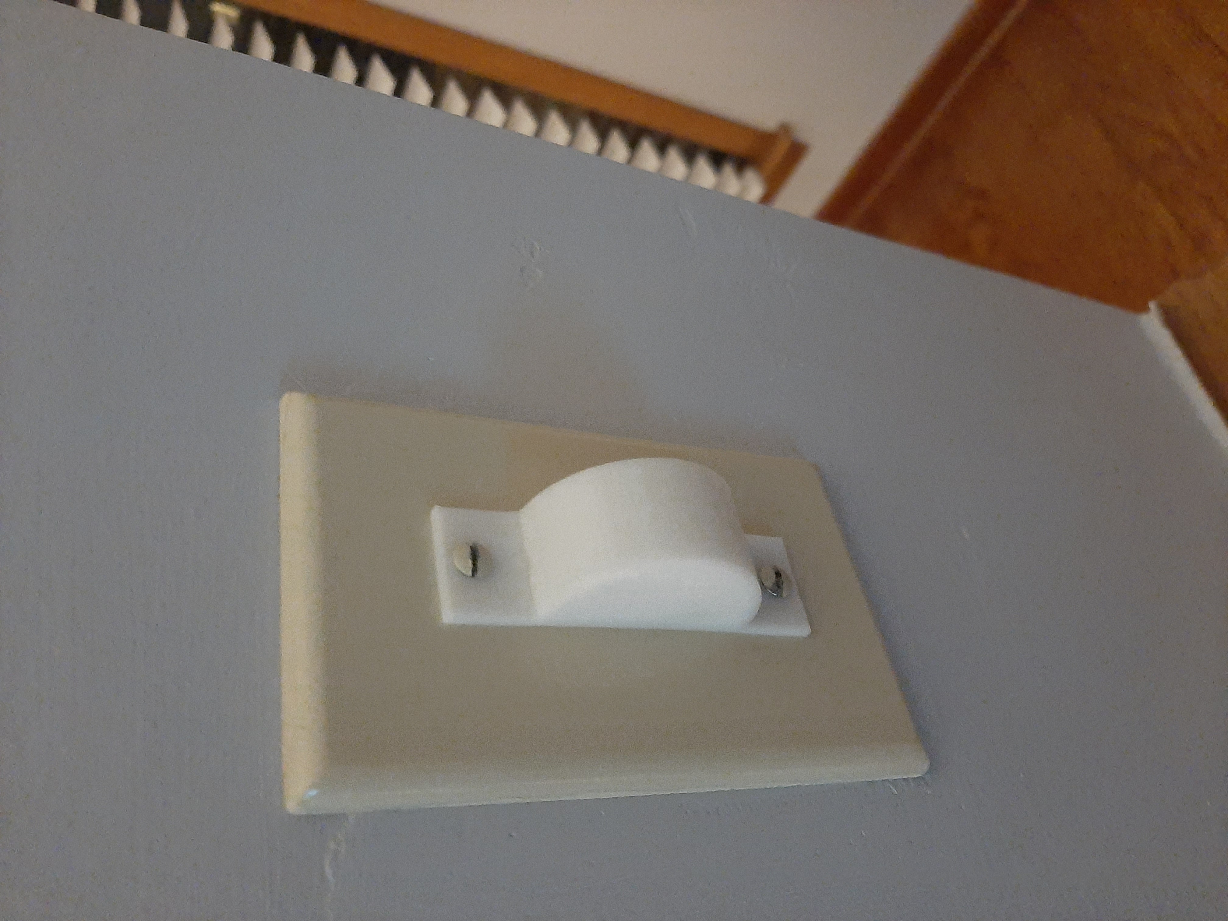 Light Switch Guard
