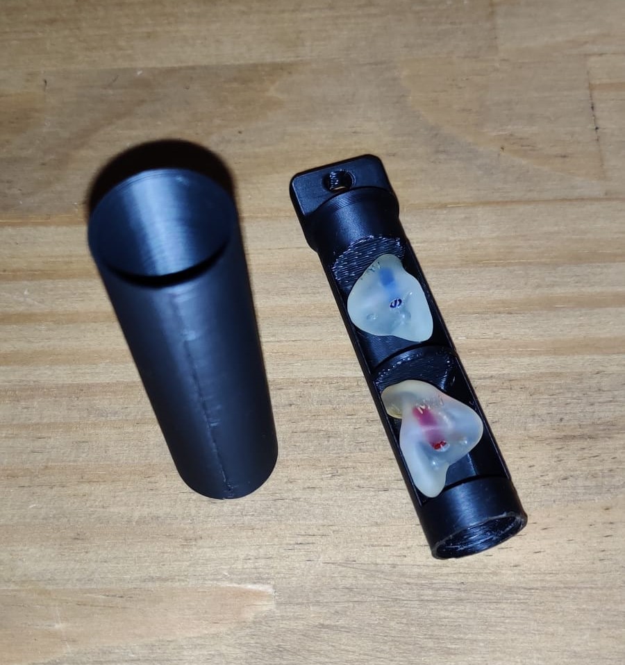 Case for Earplugs