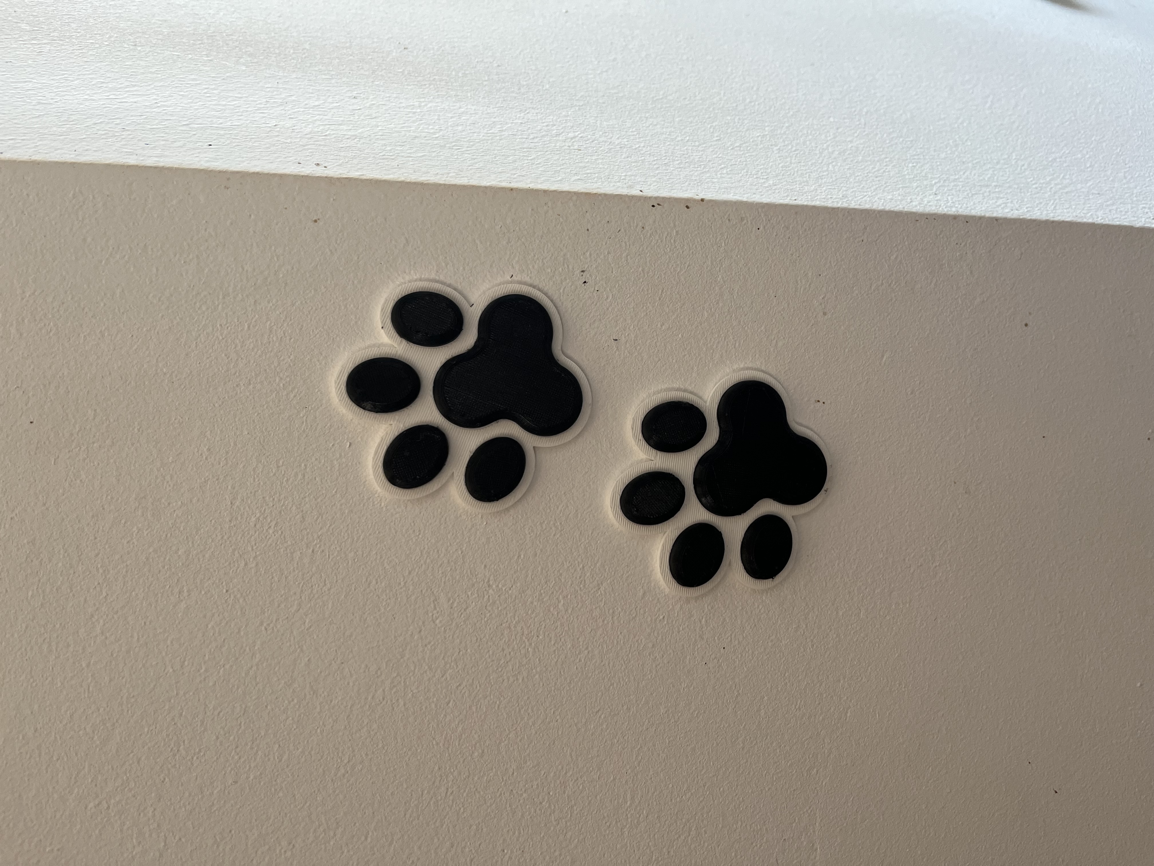 paw