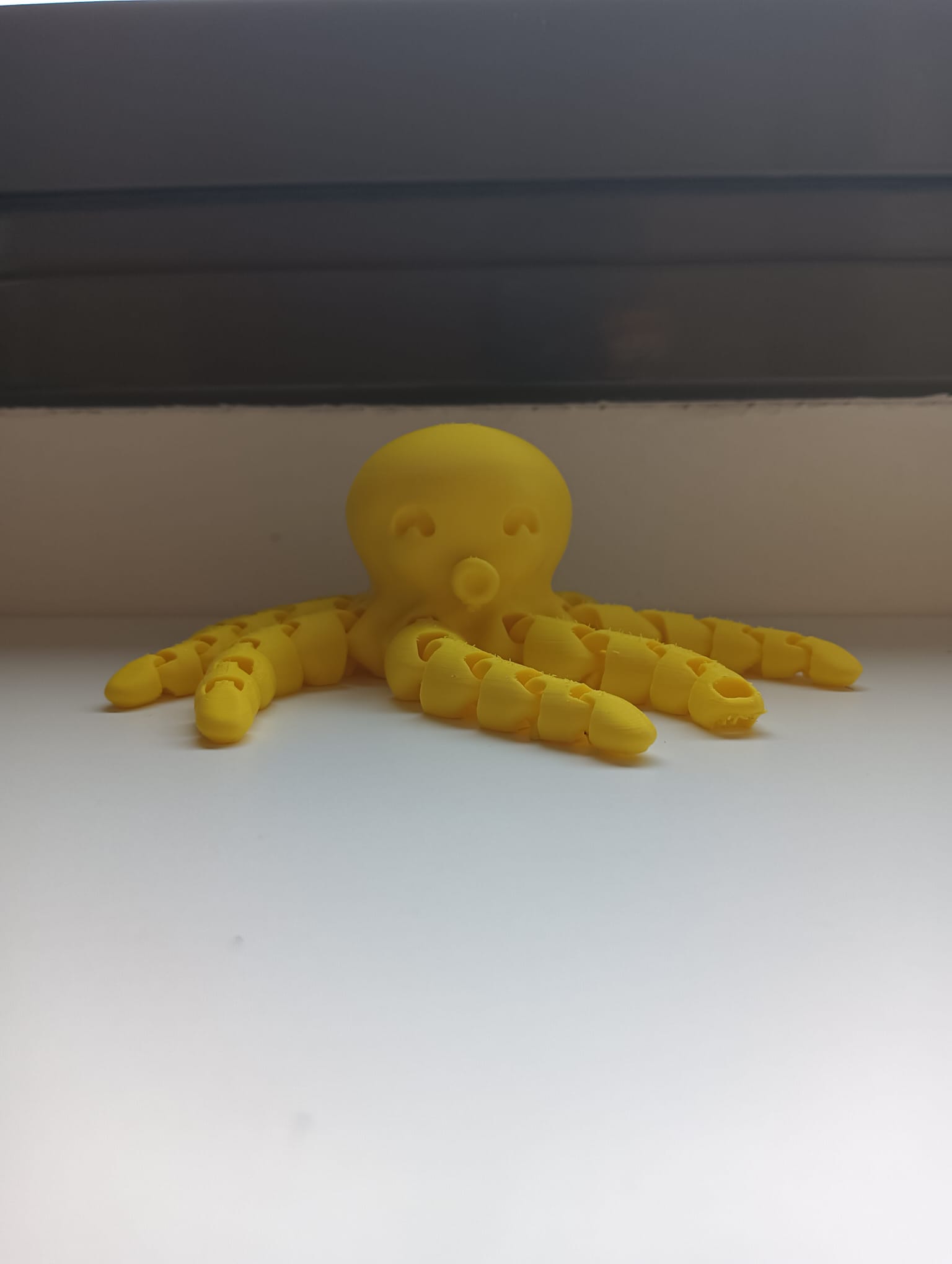 pulpo gigante