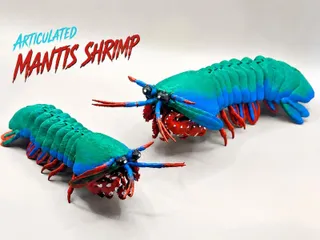 Articulated Mantis Shrimp