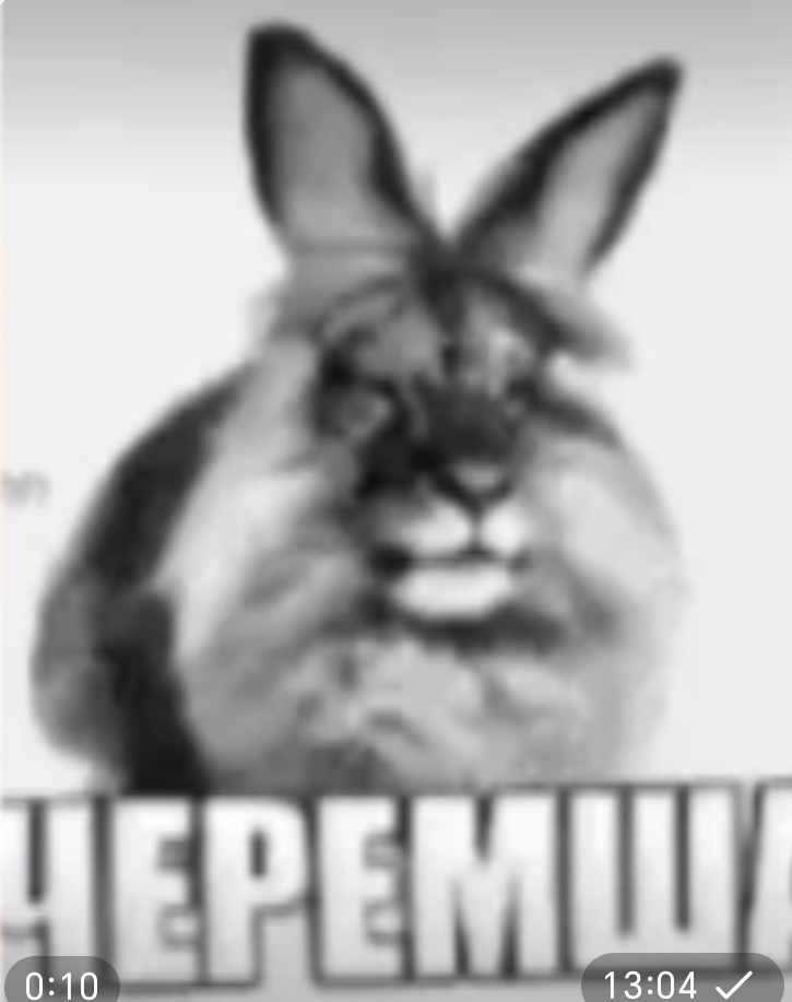 Черемша-мем