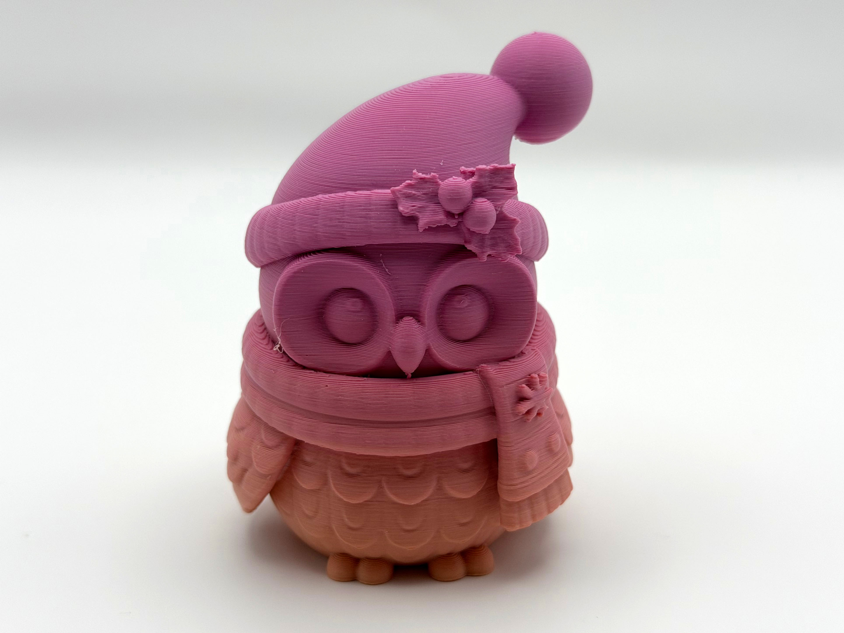 Cute Winter Owl