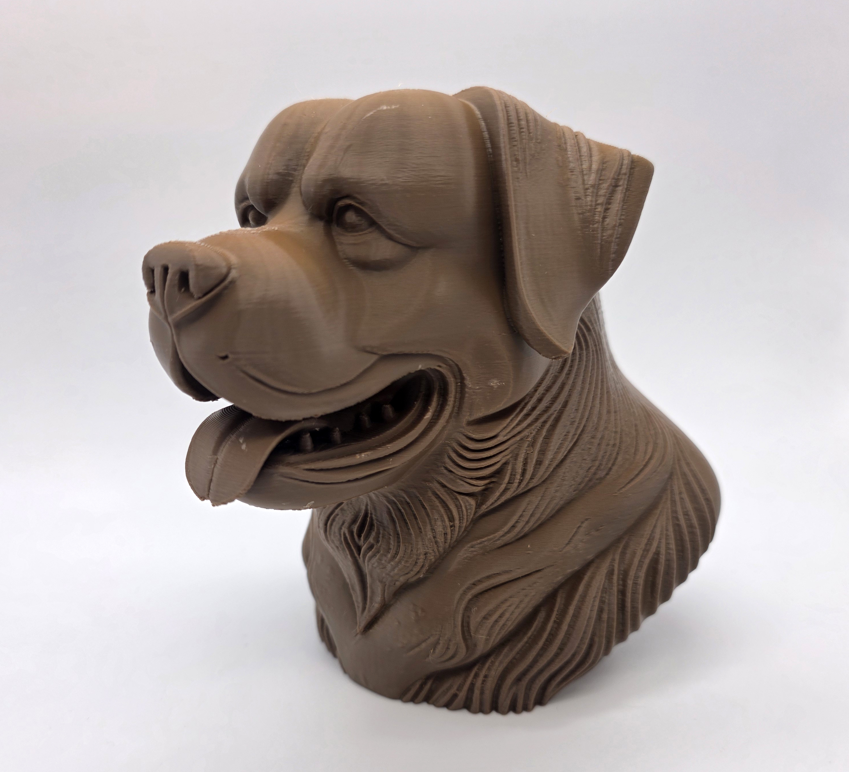 Rottweiler Bust Smiling