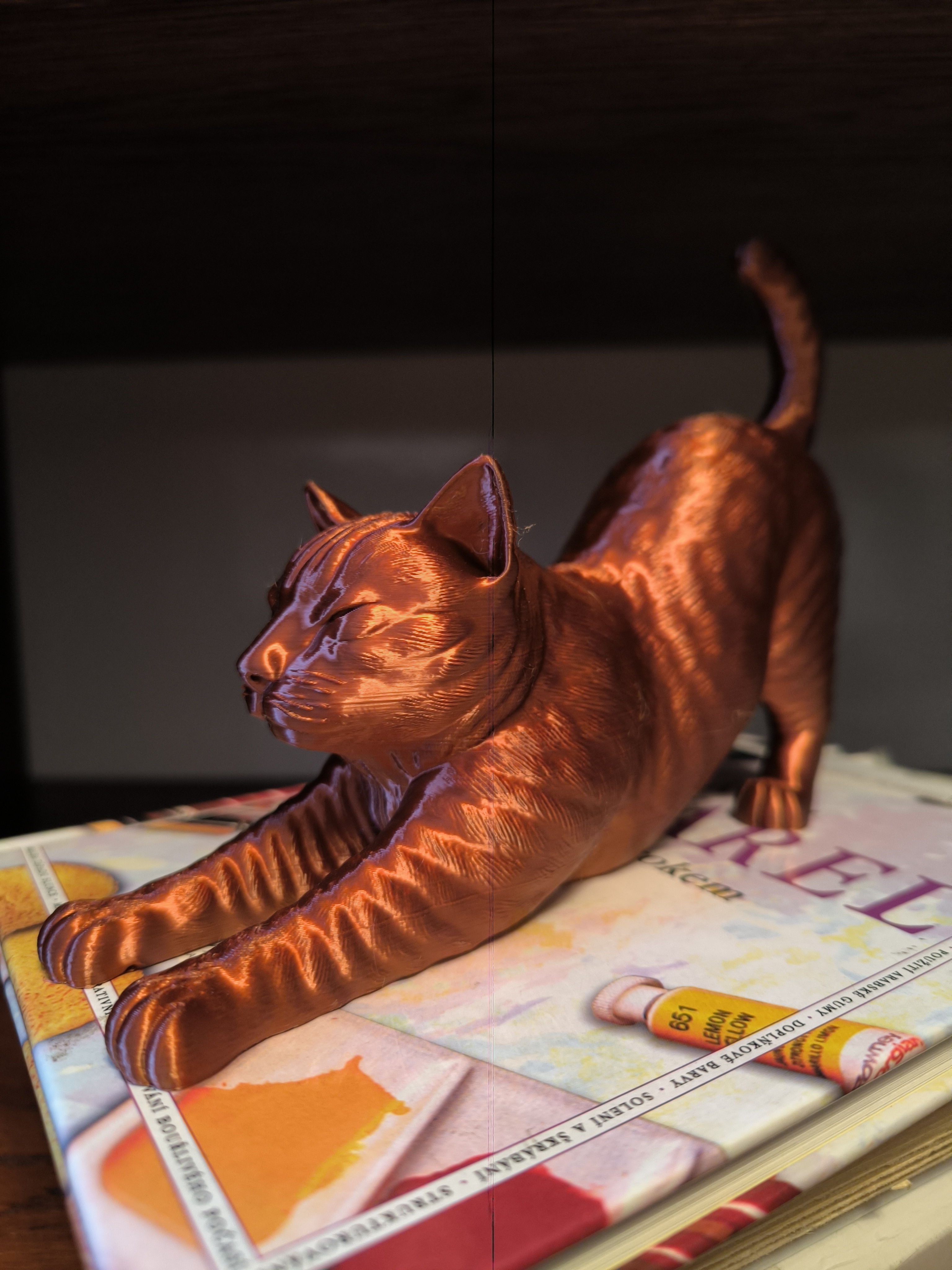 Stretching Cat — thumbnail 8
