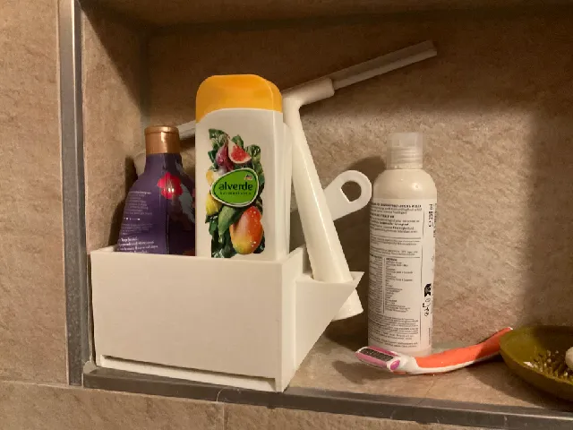 Shower organiser