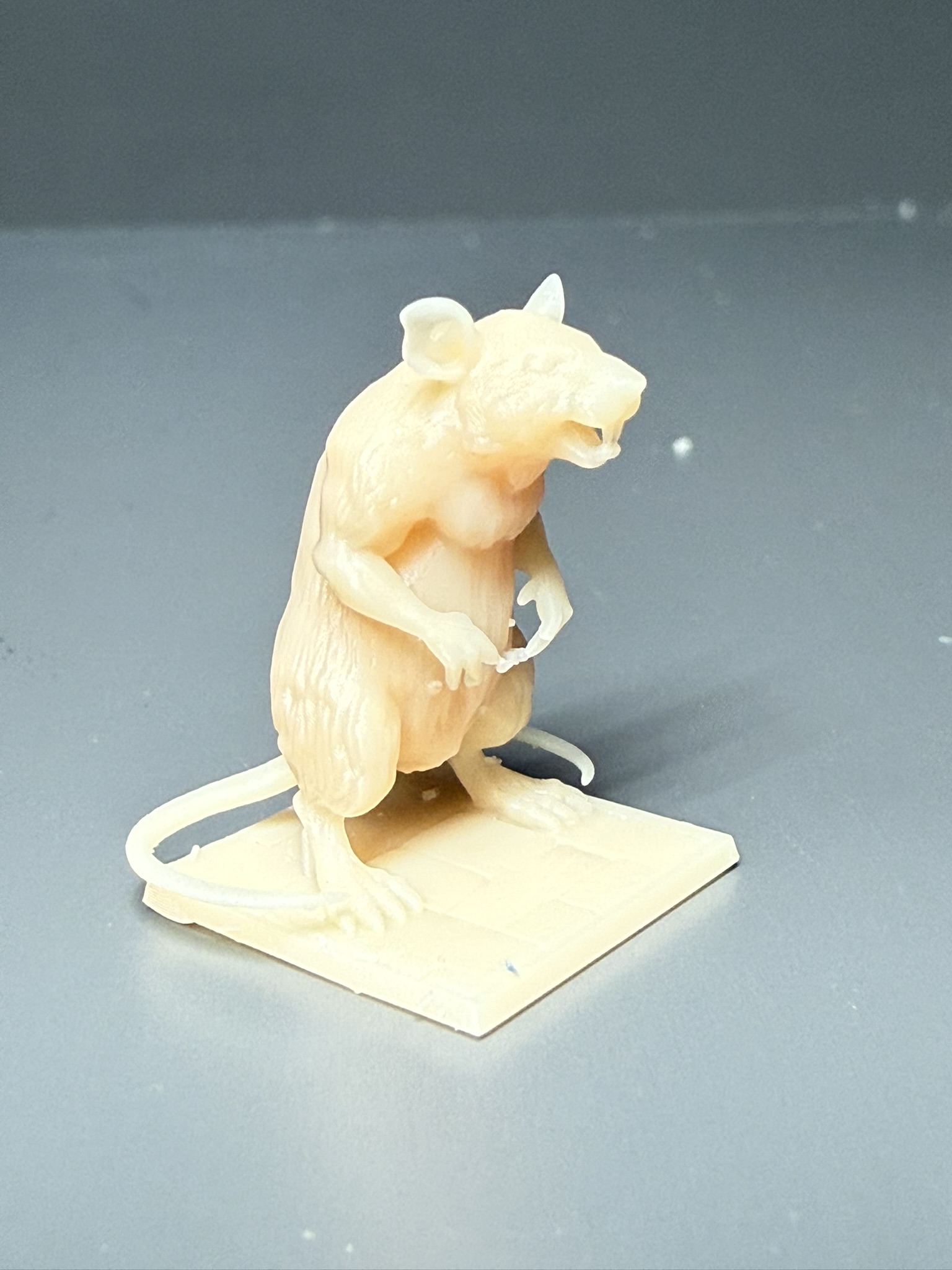 giant two-tailed rat for dungeons and dragons DND