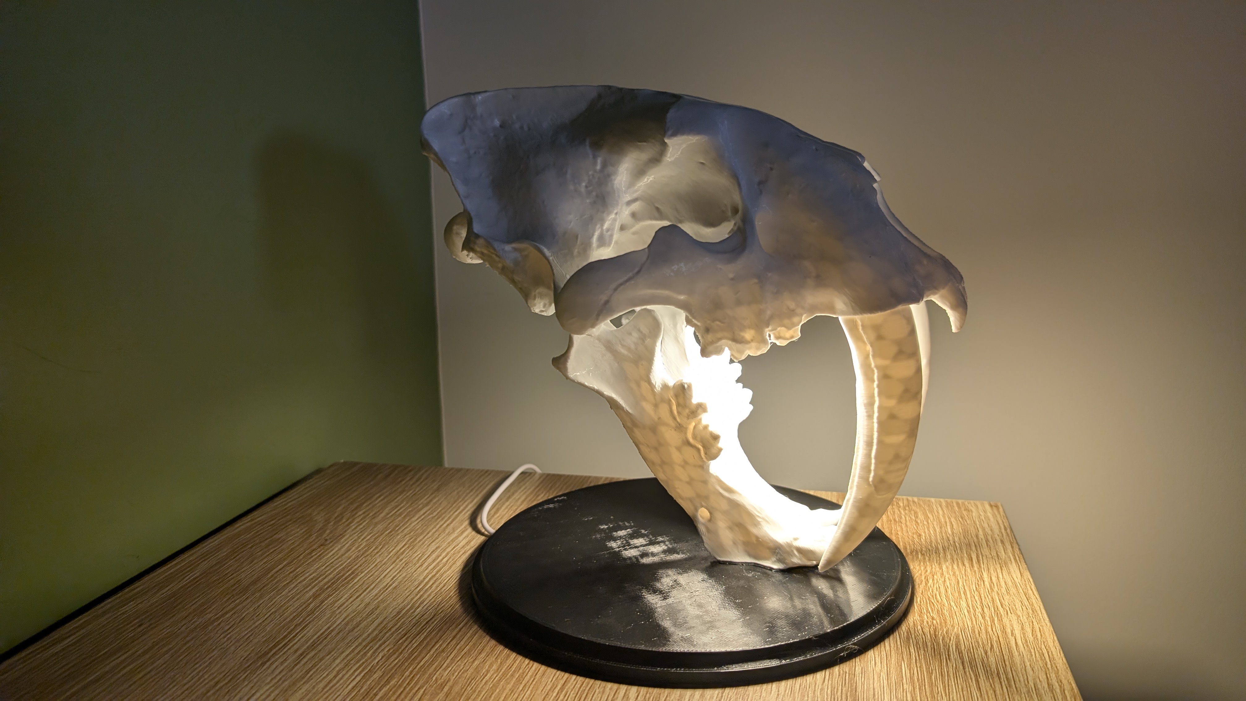 Lampe Crâne de Smilodon 3D model