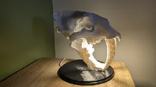 Lampe Crâne de Smilodon