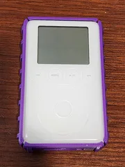 iPod Classic 3rd Generation Case