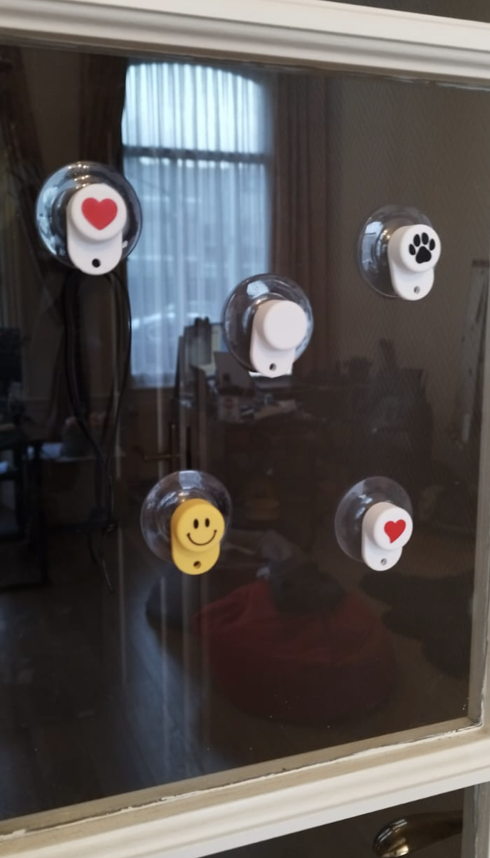Suckers Hanger for windows or smooth surface