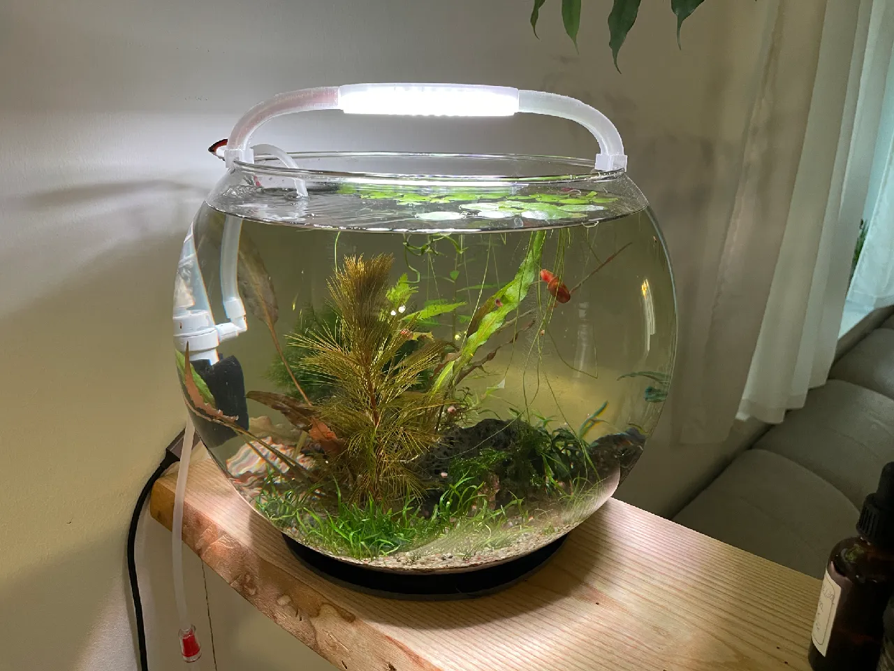 Kugel Aquarium LED (Amtra Crystal Globe 30, Wave A2Bd0020 ) by kinggrave |  Download free STL model | Printables.com