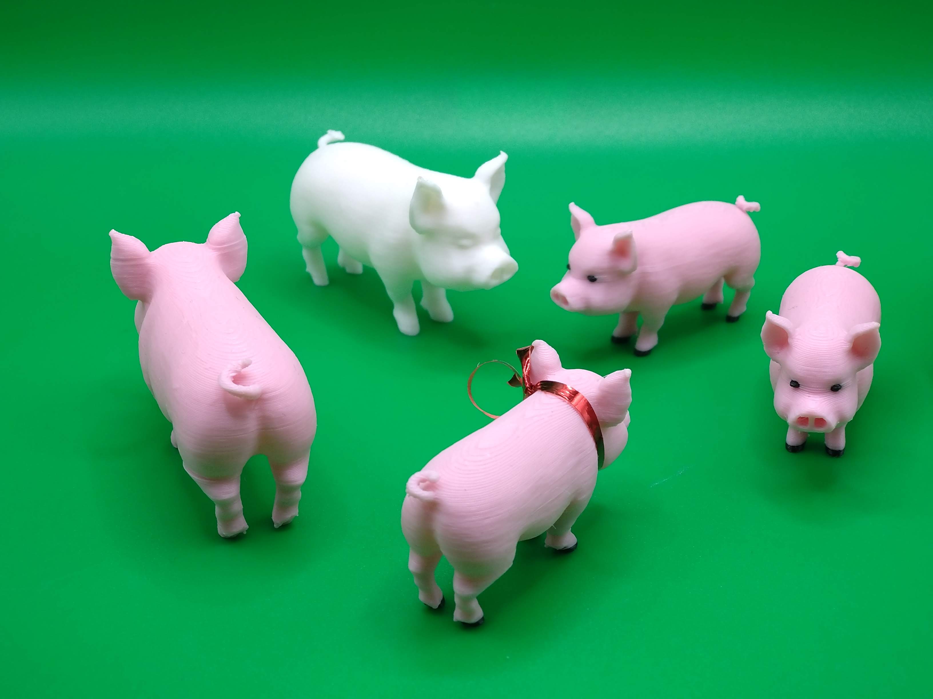 Pig miniature