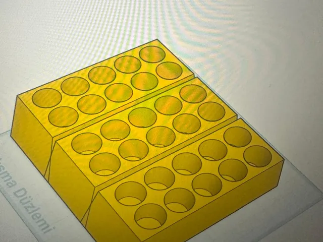 Allerji test organizatör