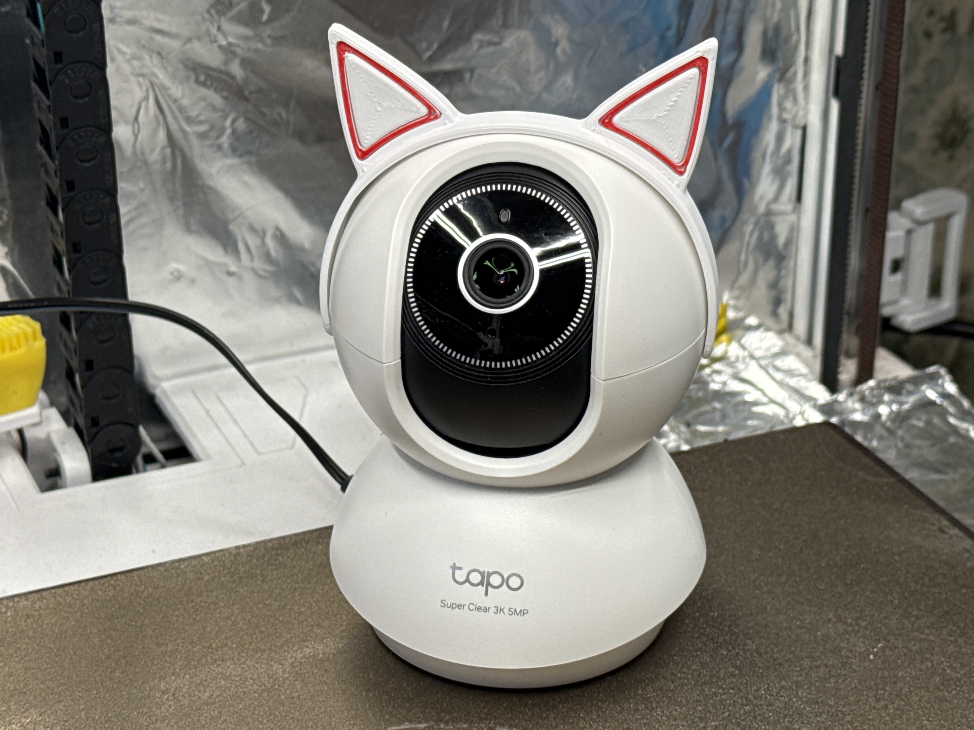 Tapo Reolink Camera Cat Ears