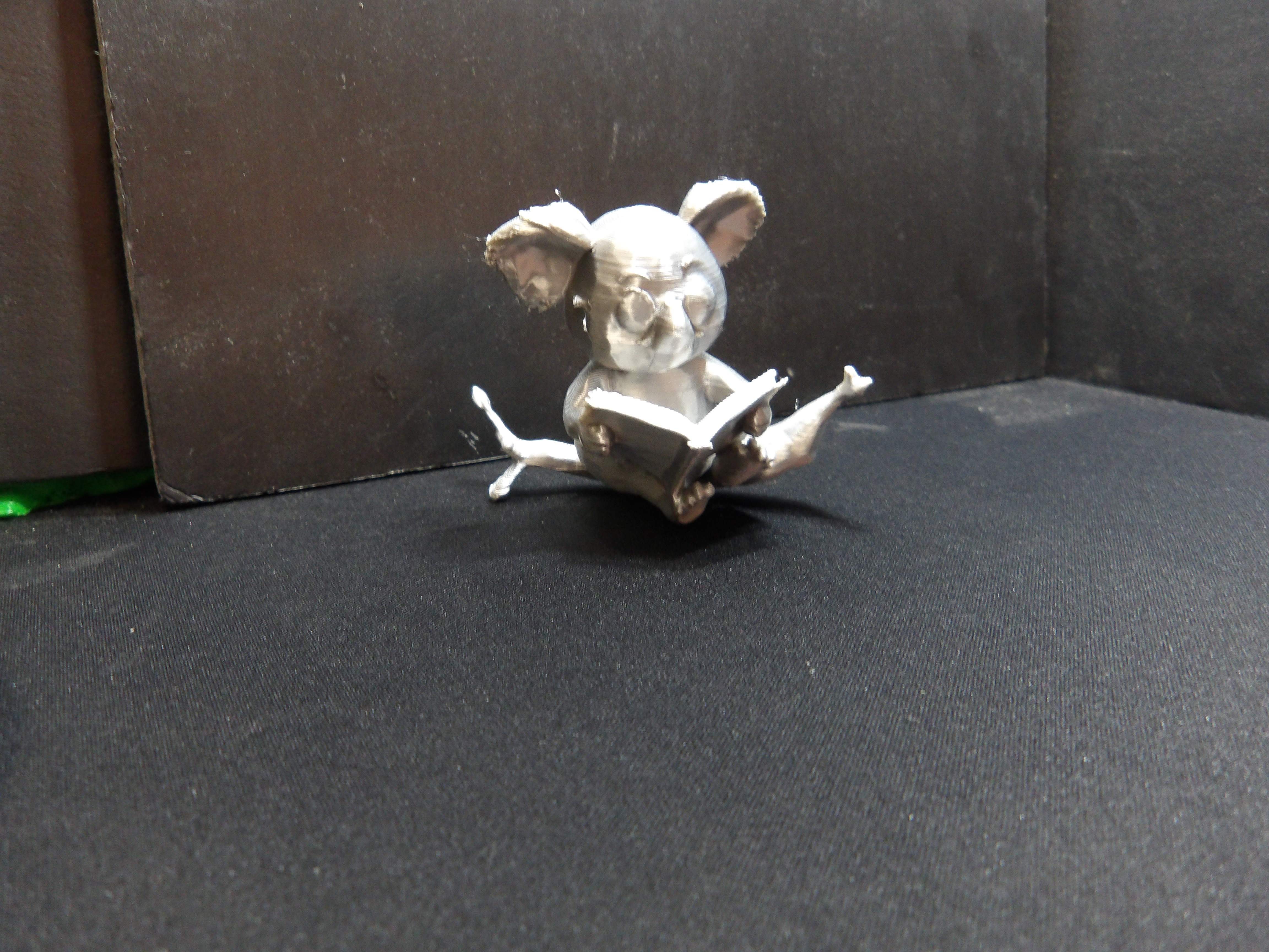 Cute Koala reading a book.