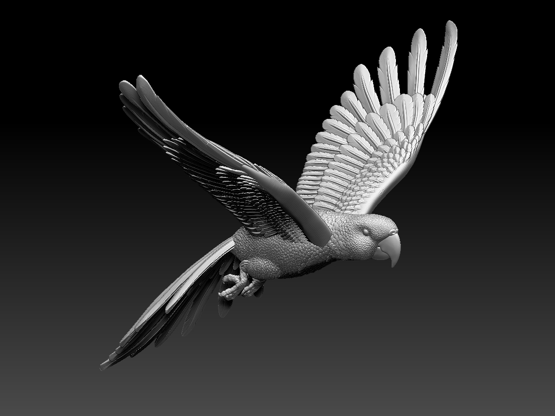 parrot