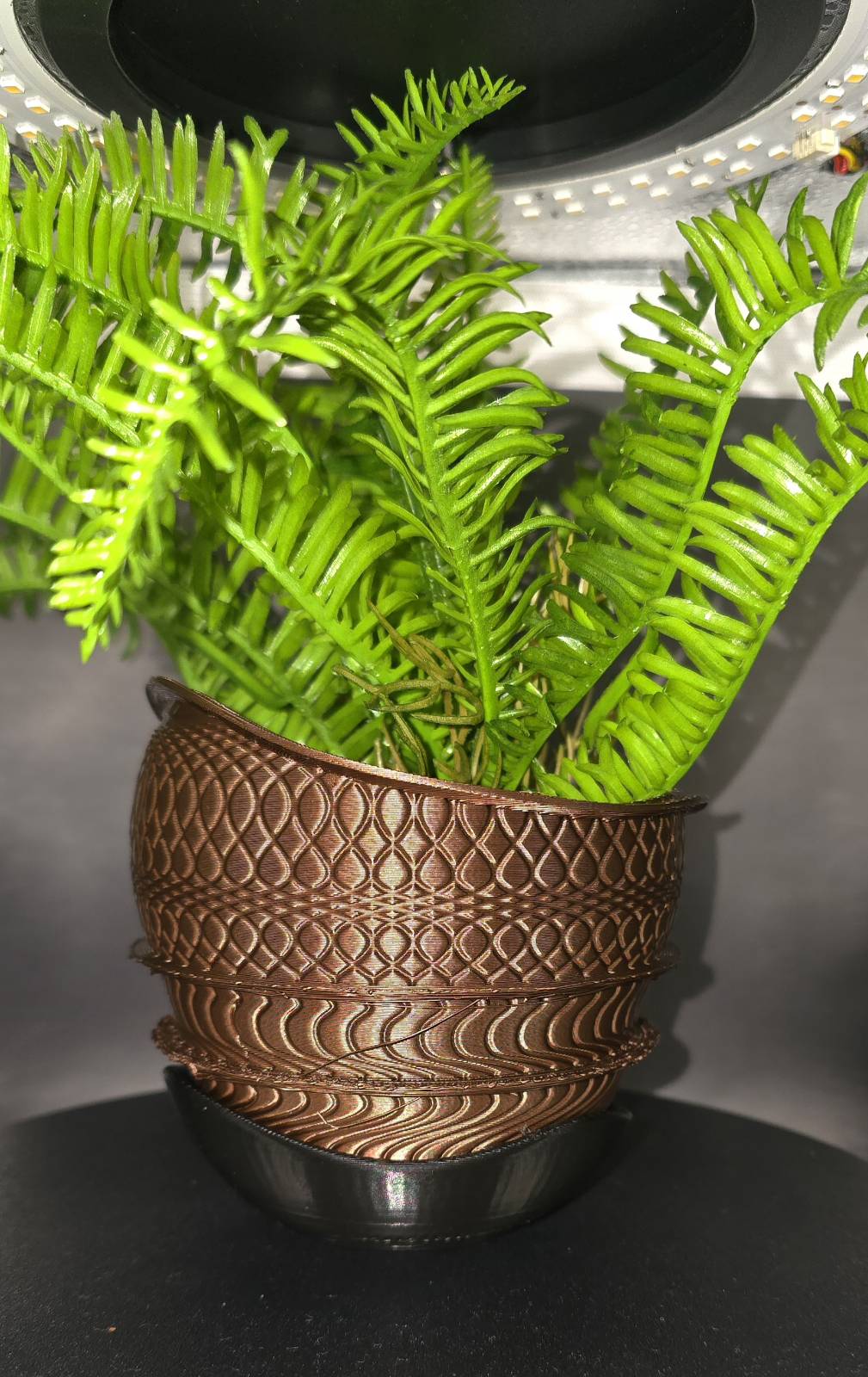 SATURN RINGS planter