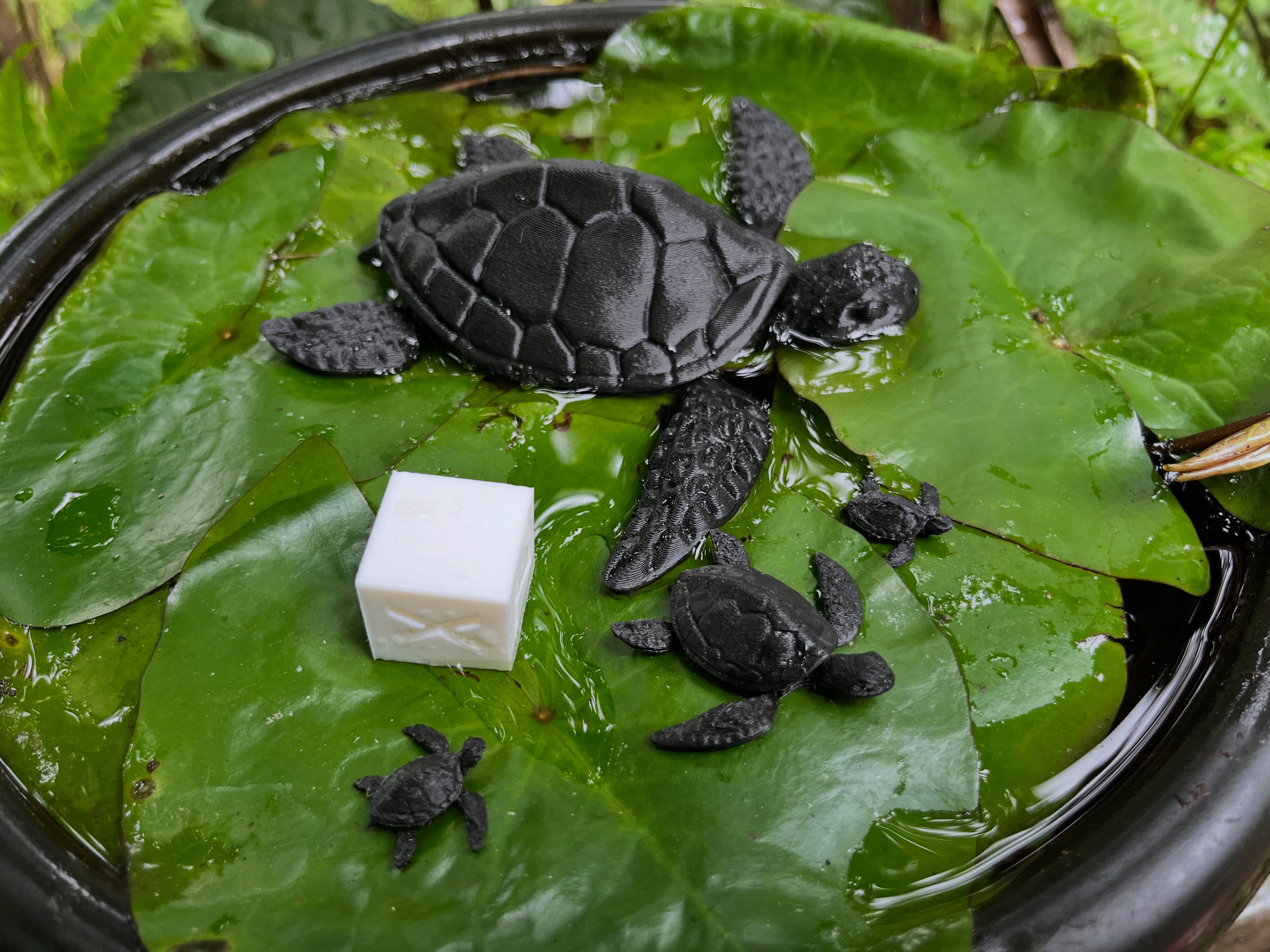 Tiny Mini Articulated Turtle