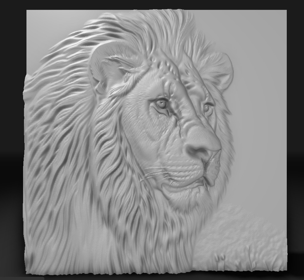 lion