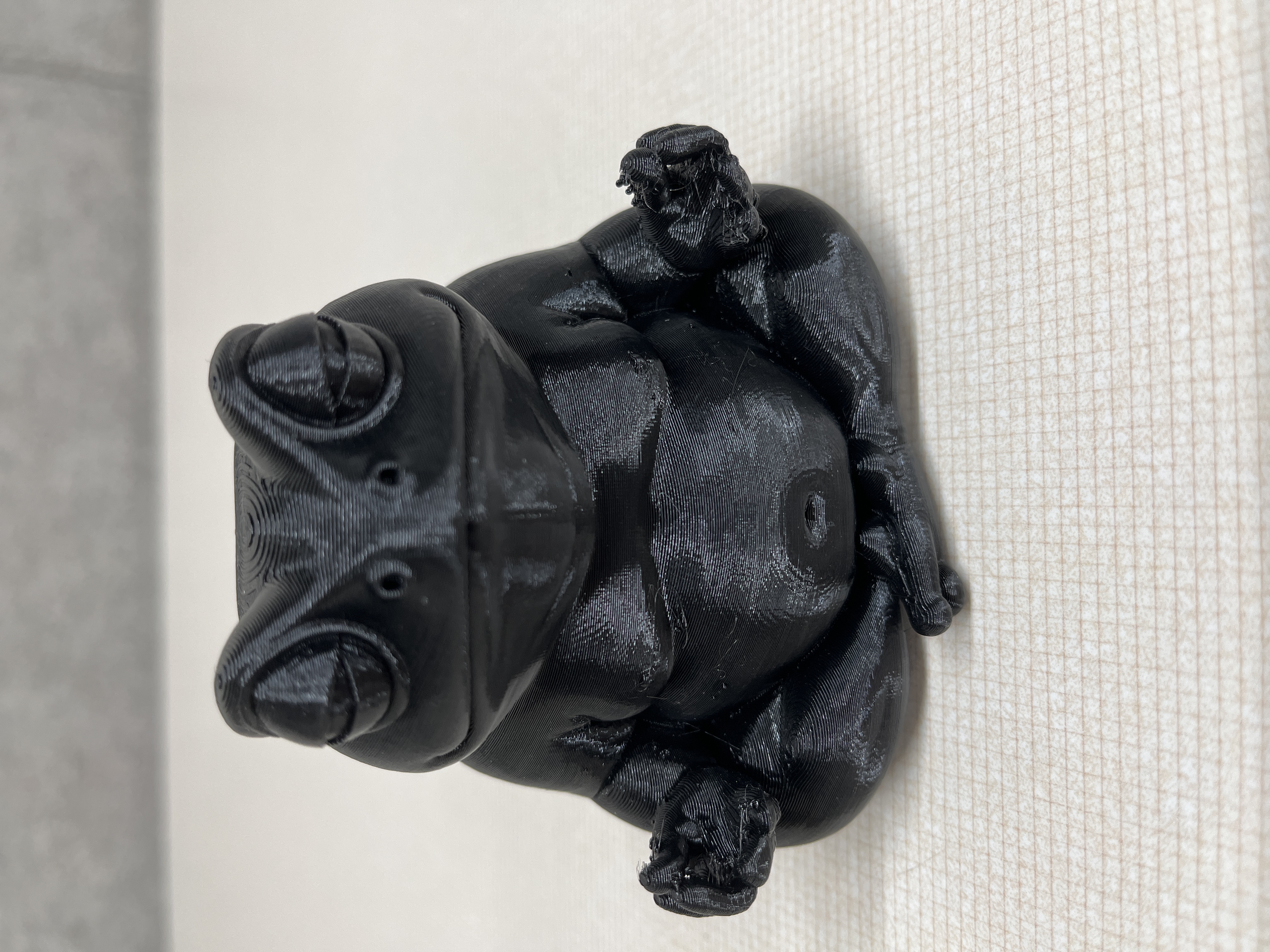 Zen frog