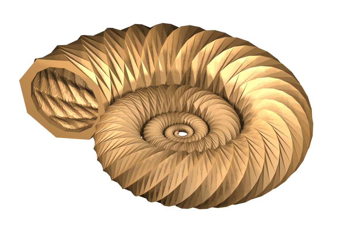 Ammonit, ammonite