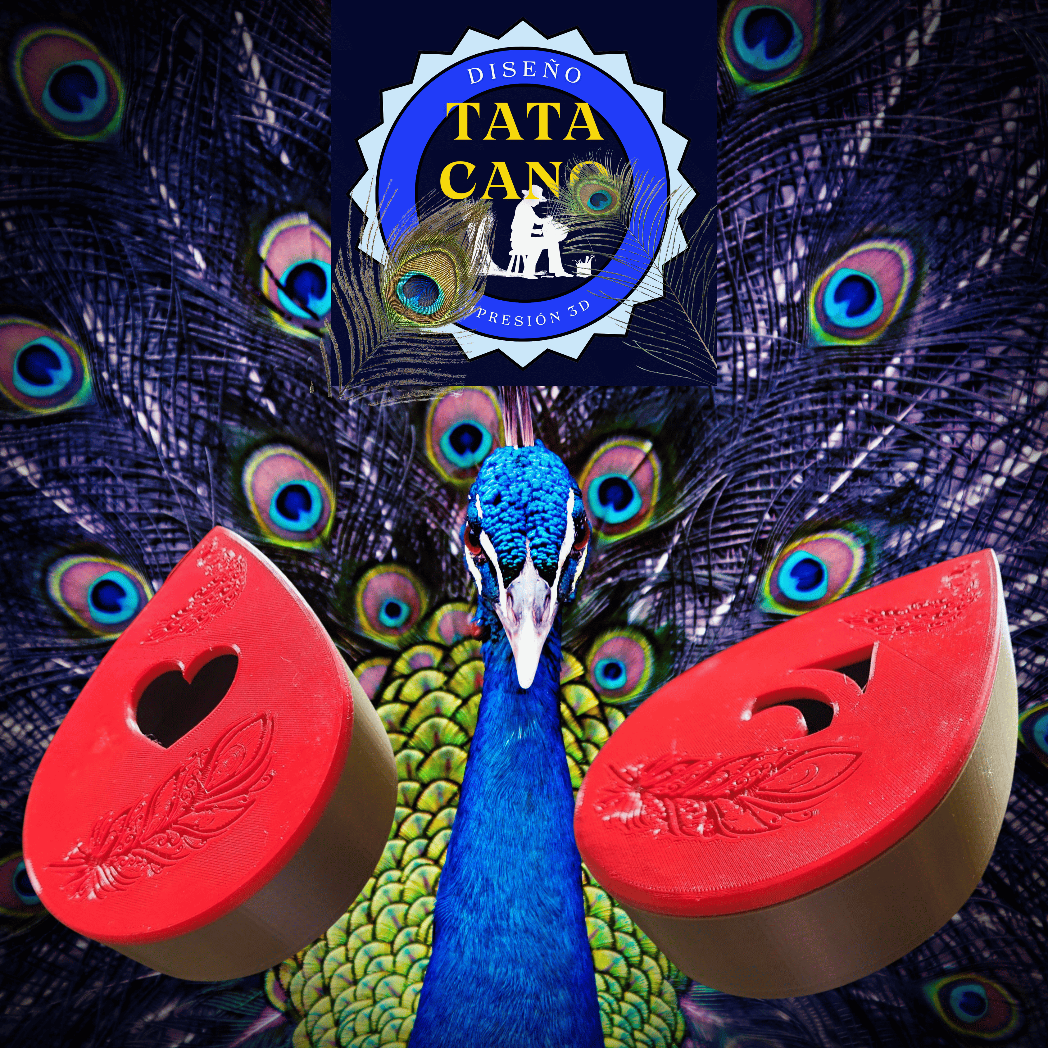 Caja de Pluma de Pavo Real  - Peacock Feather Box