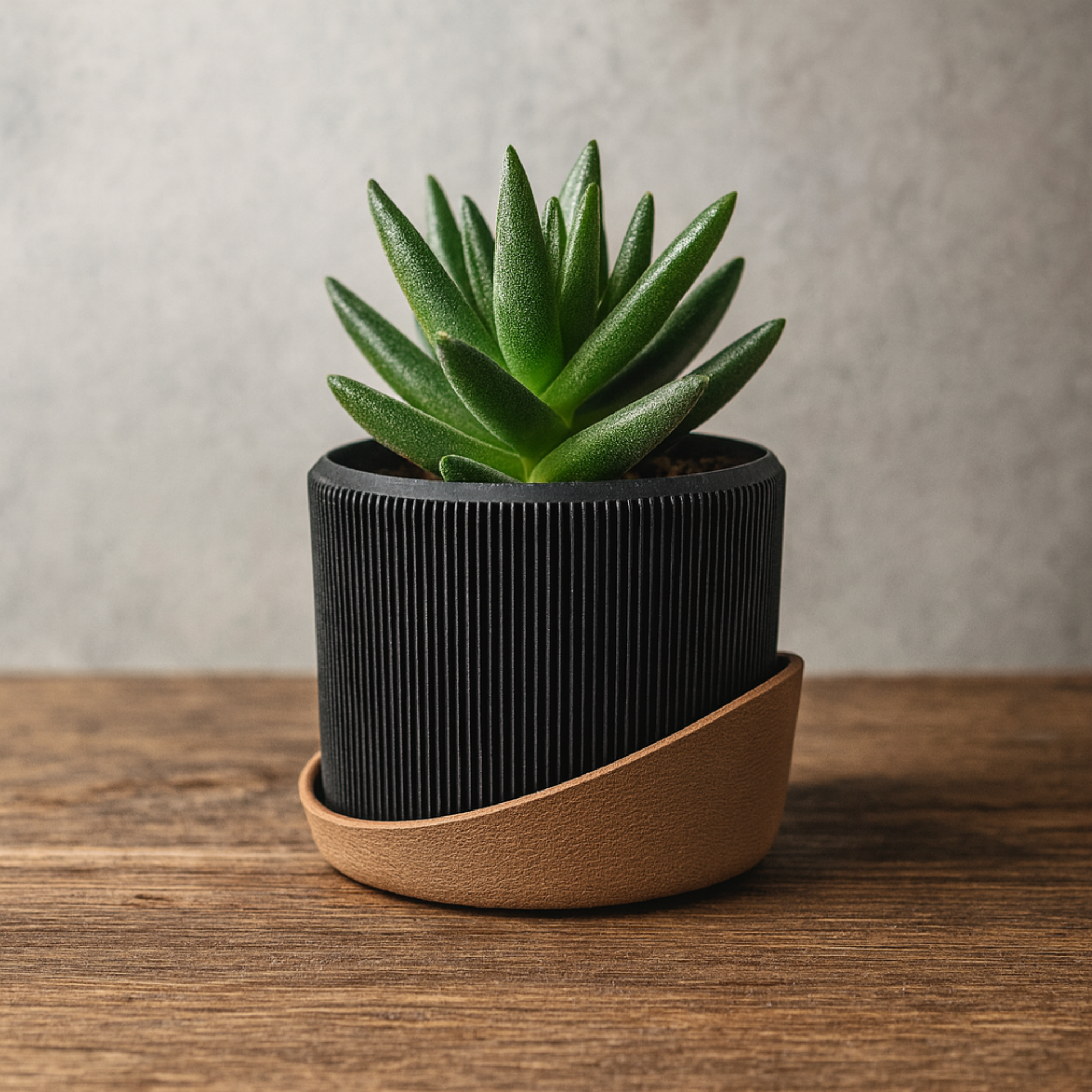 LINEUP PLANTER (WITH DRIP TRAY OR WITHOUT)