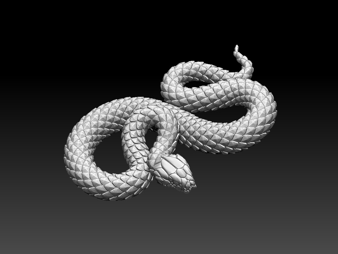 SNAKE — miniatura 7