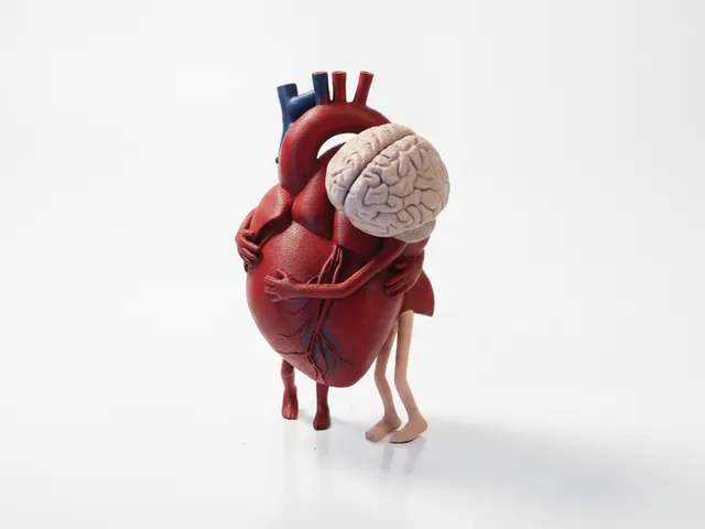 Heart And Brain Embrace Sculpture 3D Printable
